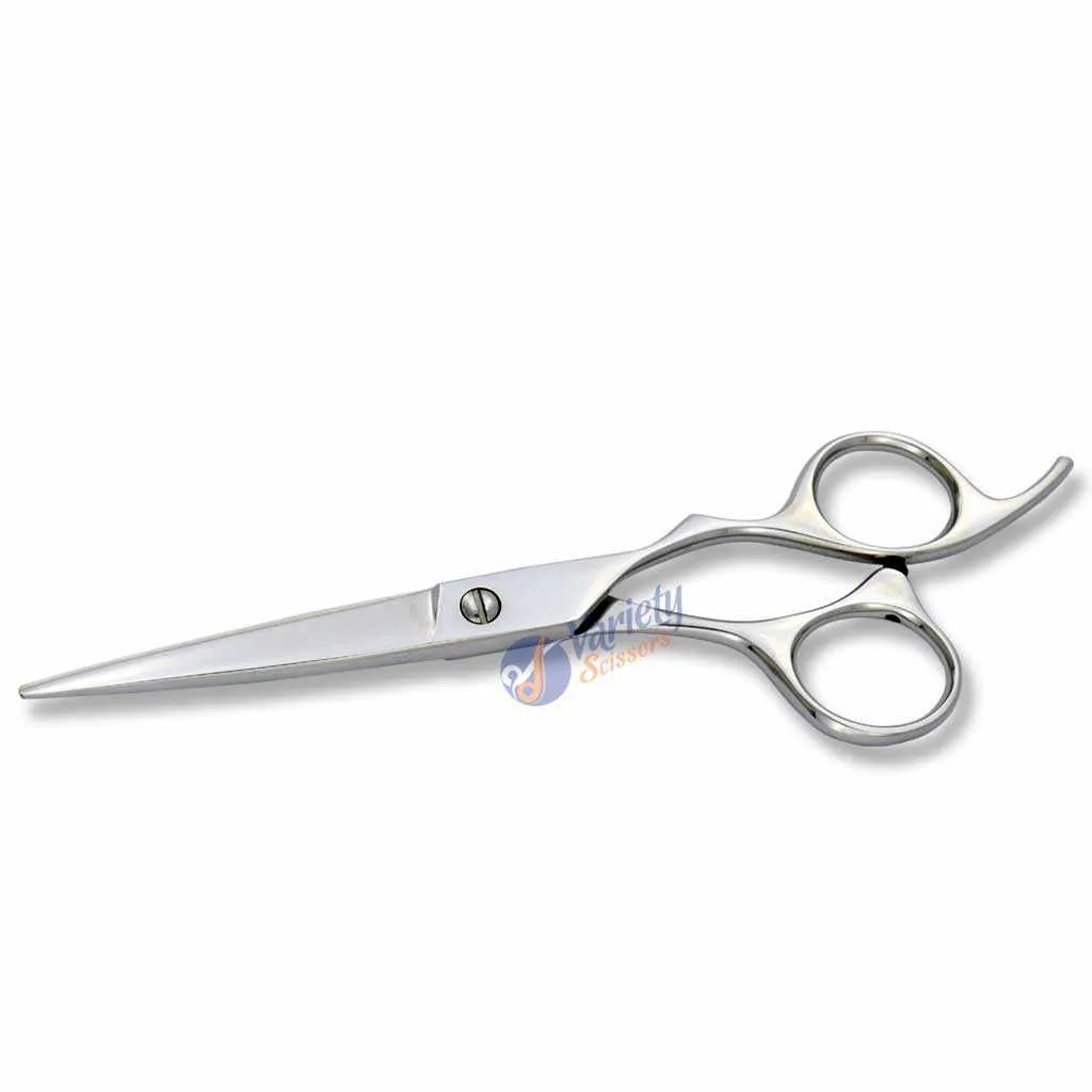 Professional Hair Cutting Scissors